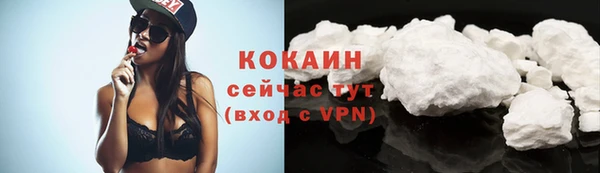 твердый Корсаков