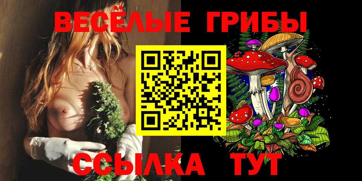 купить наркоту  Псилоцибиновые грибы GOLDEN TEACHER  Вход с VPN  Химки 