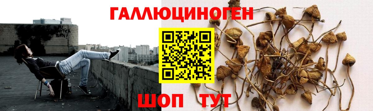 Псилоцибиновые грибы ЛСД Химки