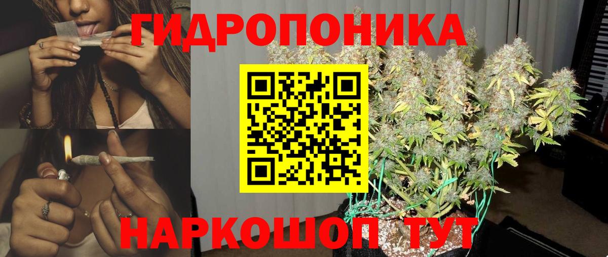 Конопля гибрид Химки